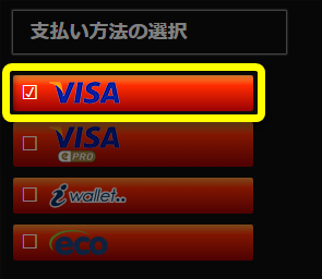 支払い方法の選択：VISA（クレジットカード）